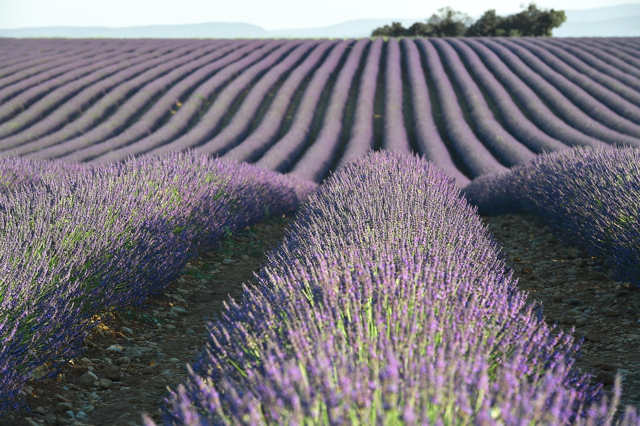 3 lieux de réception coup de cœur en Provence